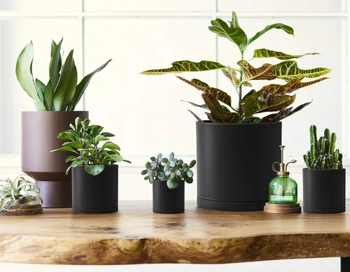 Vista 7 de D'vine Dev Paquete de 10 macetas de plástico para plantas, maceta cilíndrica para suculentas de interior de 6.5/6/5.5/4.5/4/3.5/3/2.5/2 pulgadas