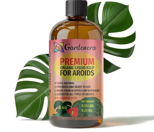 Vista 13 de GARDENERA Superalimento orgánico prémium de algas marinas y algas marinas para plantas AROID - 32 oz - Concentrado de fertilizante líquido de algas