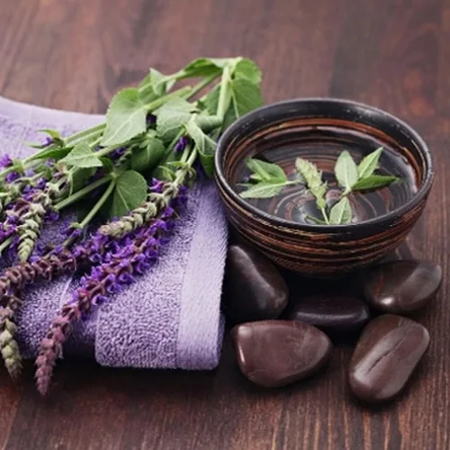 Vista 2 de Seeds Garden Sage Medicinal - Salvia Officinalis - Tulasi de interior - Hierbas tradicionales - Sin OMG