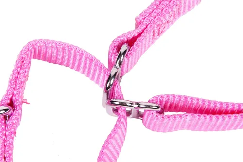 Vista 7 de GoGo Pet Products GoGo - Collar de perro Martingala de 3/4 pulgadas, mediano, color rosa Rosado