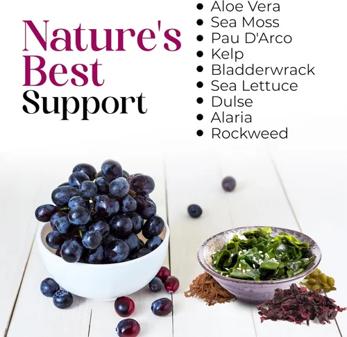 Vista 5 de Nature's Liquids - Elixir oceánico de jugo de aloe vera, mezcla botánica patentada para tiroides, digestión y apoyo inmunológico, 32 onzas
