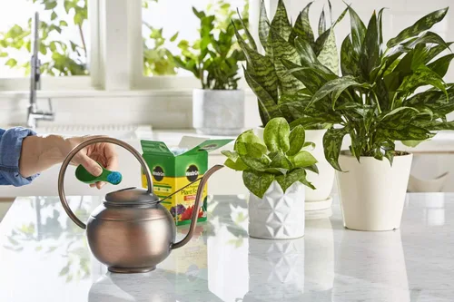 Vista 6 de Miracle-Gro Alimento soluble en agua para plantas multiusos - Fertilizante para todas las plantas de interior o exterior, incluyendo rosas, flores