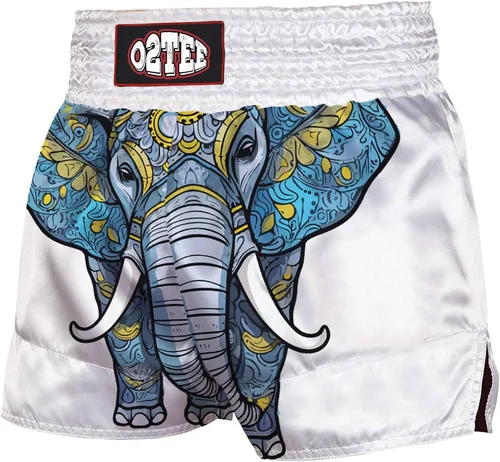 Vista 16 de O2TEE Muay Thai Pantalones cortos de boxeo MMA Kickboxing Estilos Tradicionales Pantalones Cortos Nation Bop
