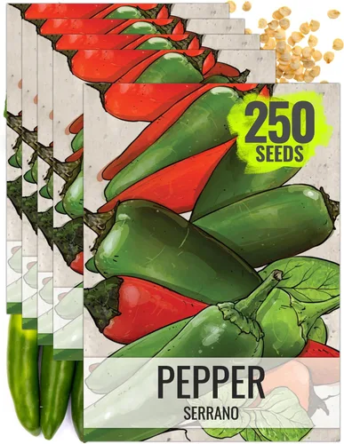 Vista 9 de Seed Needs Semillas de pimiento picante para plantar chiles serranos, semillas de vegetales sin OMG y sin tratar para plantar un jardín vegetal