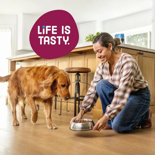 Vista 6 de Kibbles 'n Bits Alimento seco para perros, sabroso sabor a tocino y bistec para perros adultos, bolsa de 3.5 libras Nutrición completa