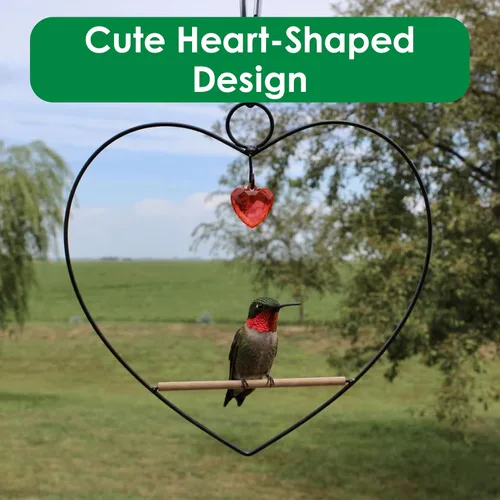 Vista 4 de Songbird Essentials Tweet Columpio Corazón Colibrí - Negro - Clavija de Madera
