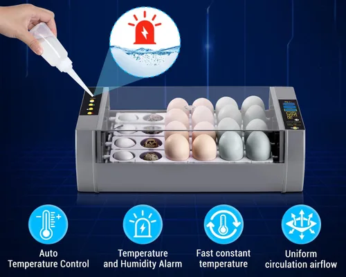 Vista 8 de Gpeng Incubadora de huevos, incubadora de 24 huevos con pantalla digital, giro automático de huevos, control automático de temperatura, para incubar