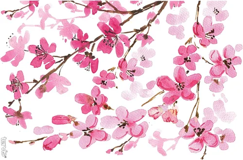 Vista 2 de Vaso de flor de cerezo japonesa de 16 onzas con tapa