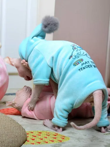 Vista 3 de Ropa para gatos sin pelo, camisa con capucha de algodón, transpirable, otoño e invierno, ropa cálida para gato, suéter chaleco para Sphynx, Cornish