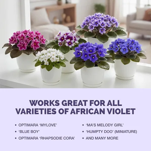 Vista 6 de Fertilizante violeta africana, alimento vegetal líquido para más flores, 1 galón