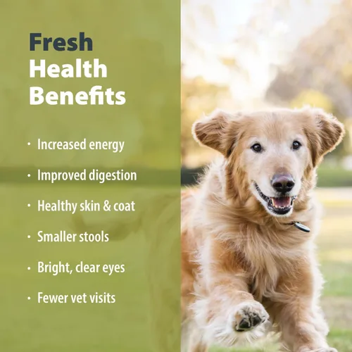 Vista 3 de JustFoodForDogs Pantry Fresh Wet Dog Food, comida completa o complemento para comida de perro, receta de comida para perros de grado humano con pavo