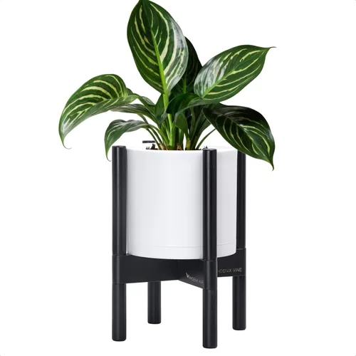 Vista 61 de Maceta de D'vine Dev con soporte - Maceta de flores de cilindro de plástico de 8.0 pulgadas con soporte de madera para interiores, maceta mate negra