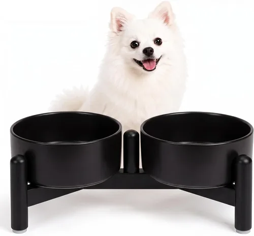 Vista 21 de Juego de cuencos elevados de cerámica para perros con soporte, 2 tazas de Negro