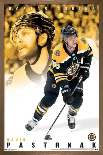 Vista 14 de Trends International NHL Boston Bruins - Póster de pared de David Pastrnák 19, 22.375 x 34 pulgadas, versión premium sin marco
