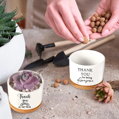 Vista 7 de Yaomiao 20 piezas de regalo de la semana de CNA, regalos de agradecimiento a los empleados, regalos de plantas suculentas a granel para mujeres