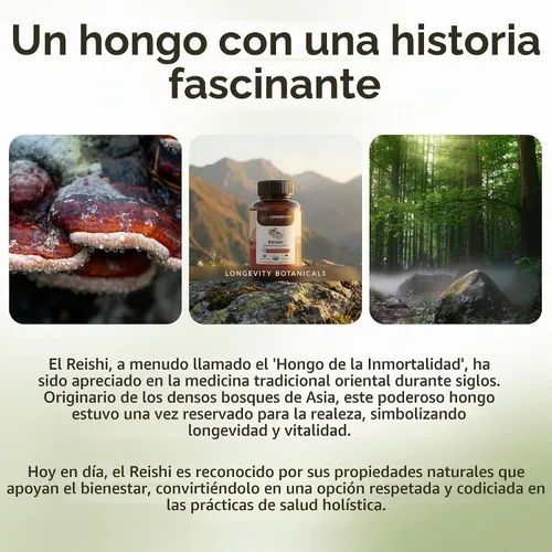 Vista 7 de Extracto de suplemento de cápsulas de hongos Reishi orgánicos Ganoderma