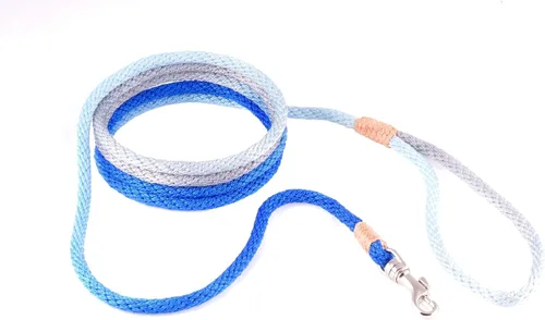 Vista 59 de Alvalley Correa para perros estilo broche – Correa de nailon estilo broche para perros – Fácil de manejar – Perfecto para perros pequeños, medianos