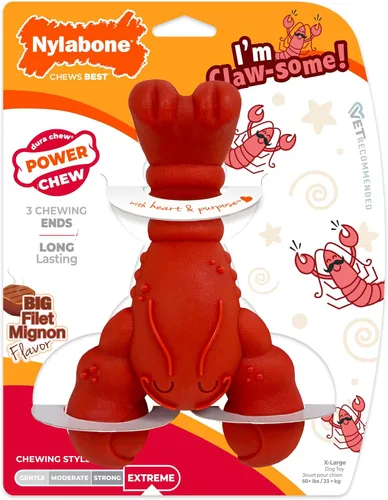 Vista 20 de Nylabone Paquete de juguetes masticables de potencia, juguetes para perros para masticadores agresivos, paquete de 3 Dog chews toys for small dogs