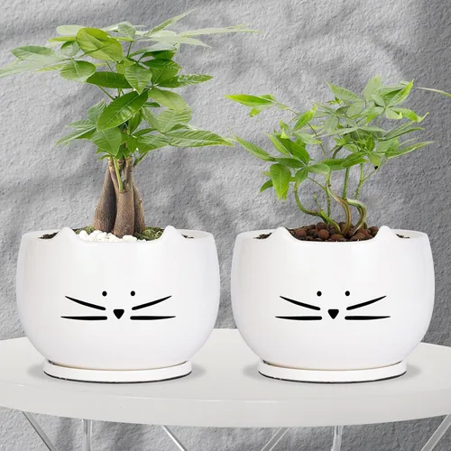 Vista 6 de Koolkatkoo Juego de 2 macetas de cerámica para gatos de 6 pulgadas con agujero de drenaje y platillo para plantas de interior y exterior, grande