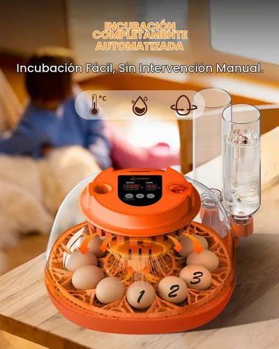 Vista 2 de Incubadora de 12 huevos con giro automático y control de humedad, incubadoras completamente automáticas con vela de huevos, kit educativo