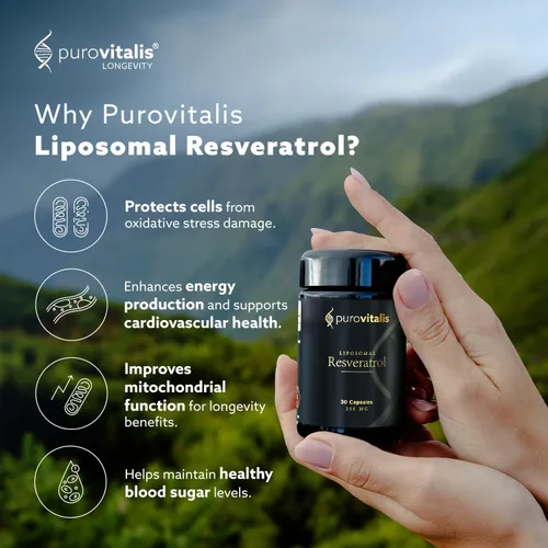 Vista 2 de PUROVITALIS Resveratrol liposomal 250 mg, 30 porciones (30 cápsulas veganas), suplemento antioxidante de trans-resveratrol de alta pureza