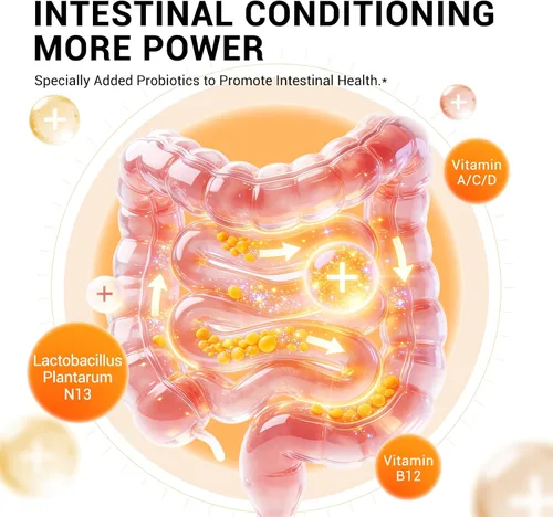 Vista 6 de DrBioCare Suplemento de probióticos de L-carnitina, contiene L-carnitina, probióticos, café verde en polvo, extracto de yerha mate, extracto
