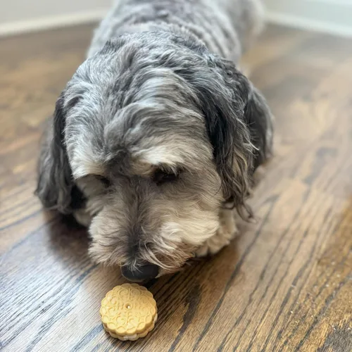 Vista 4 de Exclusively Dog Galletas Sandwich Cremes S'mores Flavor Dog Treats para perros medianos y grandes, naturales y fabricadas en los Estados Unidos, 8