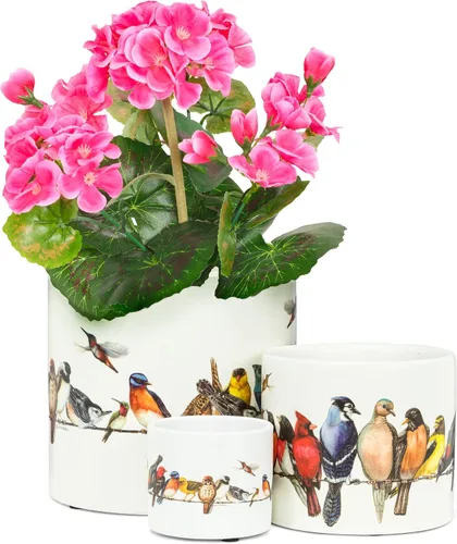 Vista 4 de Abbott Collection 27-PARADE/085 - Maceta LG, 1 EA, pájaros con alambre, grande