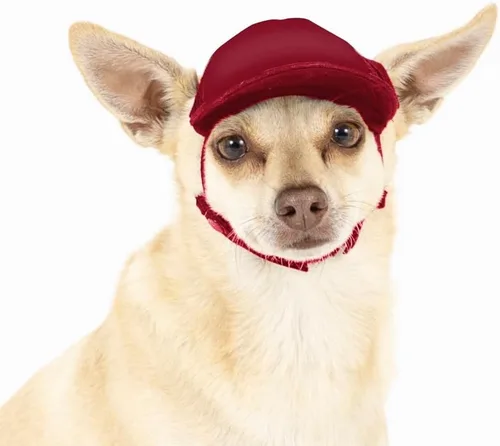 Vista 28 de DIY PupLid Trucker Hats (negro/blanco, XXS) - Sombrero de perro personalizable, lona en blanco para diseño personalizado, ajustable, protección