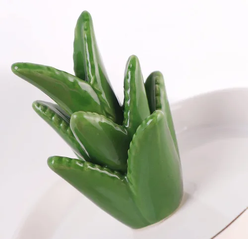 Vista 3 de Soporte para anillos de cactus verde, bandeja de joyería, collar, pulsera, organizador de cerámica para su madre novia, plato de 5 pulgadas