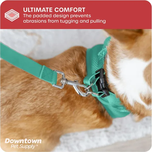 Vista 194 de Downtown Pet Supply Arnés para perro Step-in – Sin tirones, malla acolchada ajustable con ribete reflectante, correa de hebilla segura – Arnés