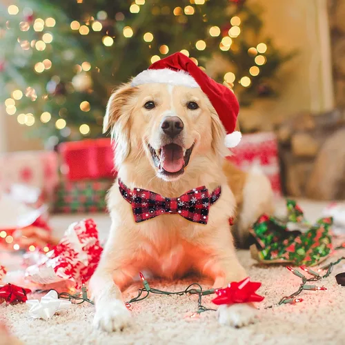 Vista 2 de Malier Paquete de 2 collares de perro con pajarita, collar clásico de Navidad con copo de nieve y hebilla ajustable ligera, adecuado para perros