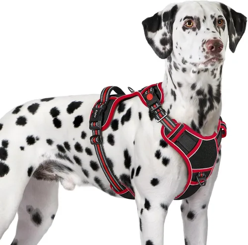 Vista 24 de Eagloo Arnés para perro de tamaño pequeño, fácil de llevar con 3 hebillas, arnés ajustable sin tirones para mascotas con sistema MOLLE, chaleco
