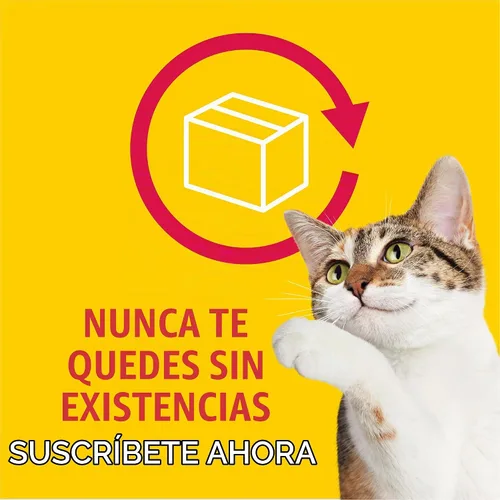 Vista 11 de Purina Friskies - Remolinos de salsa con sabores de pollo, salmón y salsa, comida seca para gatos, bolsa de 3.15 libras