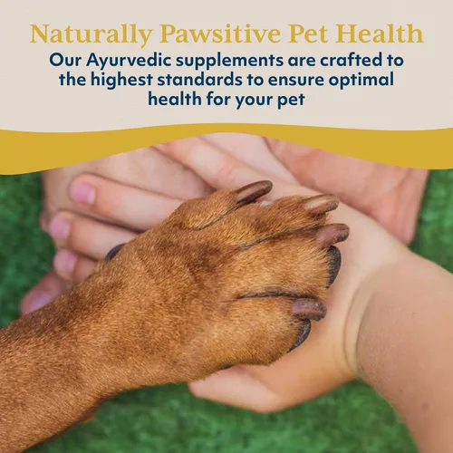 Vista 7 de Ayush Pet Mobility, suplemento de curcumina para articulaciones saludables, articulaciones puras y potentes, digestión y apoyo cerebral, mascotas