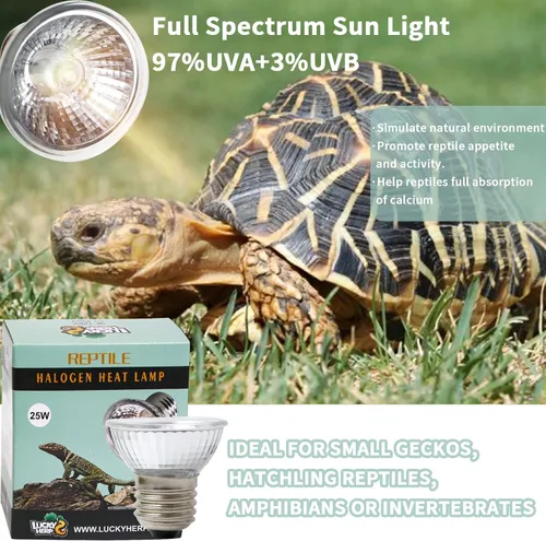 Vista 4 de LUCKY HERP Paquete de 4 bombillas de luz para reptiles UVA UVB de 25W, bombillas de lámpara de calor para reptiles y anfibios, bombilla de luz