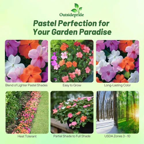 Vista 2 de Outsidepride 75 semillas Impatiens Xtreme Pastel Shade Garden Flower Seed Mix para plantar