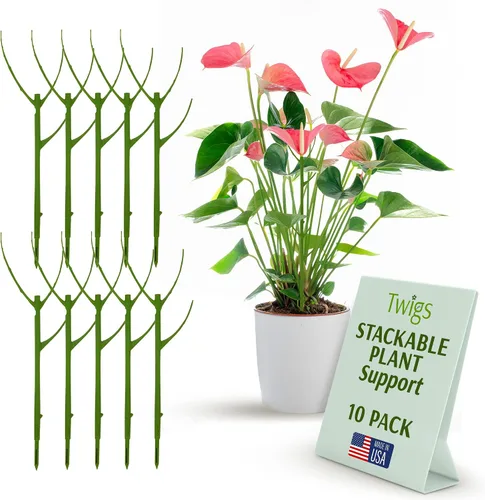 Vista 16 de Estacas de soporte para plantas para uso en interiores y exteriores, alternativa duradera de enrejado para plantas trepadoras y en maceta