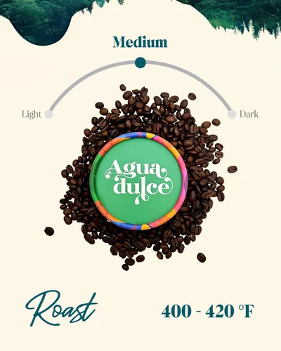Vista 4 de Agua Dulce Café molido 100% arábica de origen único, especialidad gourmet de comercio justo de Costa Rica, proceso de miel, 12 onzas, paquete de 1