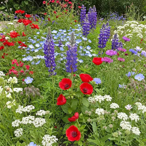 Vista 54 de Ferry Morse Mezcla para Todo Propósito Sol-Sombra a Granel Semillas de Flores Silvestres, 1 lb