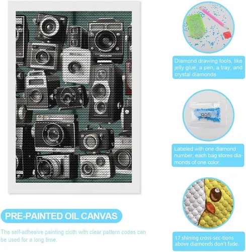 Vista 3 de DWVSFJM Retro Cool Camera Collection Diamond Painting Kits 8"x12", Diamond Painting Kits for Beginners, Round Drill Dots Paintings,Diamond Art Kits