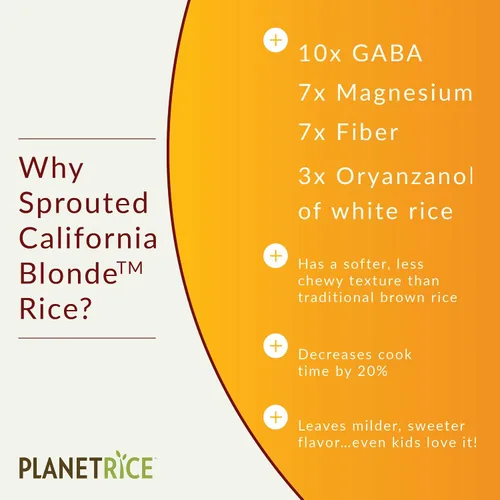 Vista 3 de Planet Rice Arroz rubio germinado a granel, ideal para cocinar arroz a granel, arroz Gaba sin gluten, vegano, paleo, con un 64% más de fibra