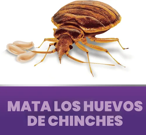Vista 3 de Ortho Home Defense Max Bed Bug & Flea Killer Powder – Pulgas y chinches en polvo, aplicar a grietas y grietas en marcos de cama y de ventana Aerosol
