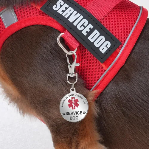 Vista 3 de Arnés de chaleco de servicio para perros de raza pequeña con etiqueta de identificación, 50 tarjetas ADA, 10 parches extraíbles, arnés de apoyo