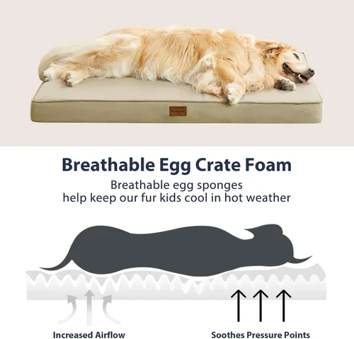 Vista 5 de BFPETHOME Cama para Perros de Exterior para Perros Grandes, Impermeable, Ortopédica con Funda Extraíble Lavable, Colchoneta de Espuma Tipo Caja