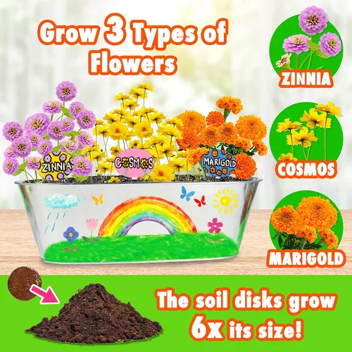 Vista 3 de Miracle GRO My First Flower Growing Kit - Kit de manualidades de pintura y jardinería de plantas para niños, niñas, regalos de Pascua para niños