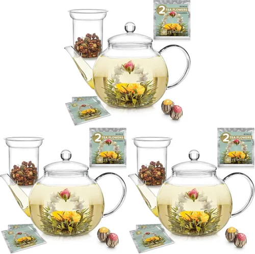Vista 9 de Tetera de vidrio Teabloom segura para estufa y microondas con infusor de té de vidrio extraíble – Incluye 2 tés florecientes – Hervidor de té