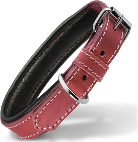 Vista 20 de Filbert Collar de cuero para perro, collar de cuero genuino para perros pequeños, acolchado de lujo, fuerte, ajustable para todas las razas, hebilla