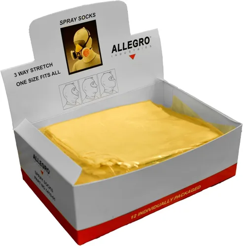 Vista 4 de Allegro