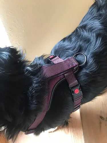 Vista 3 de LOS ANDES Arnés reflectante completo para perro, arnés ajustable sin tirones para mascotas, con clip frontal, chaleco acolchado suave con asa, arnés